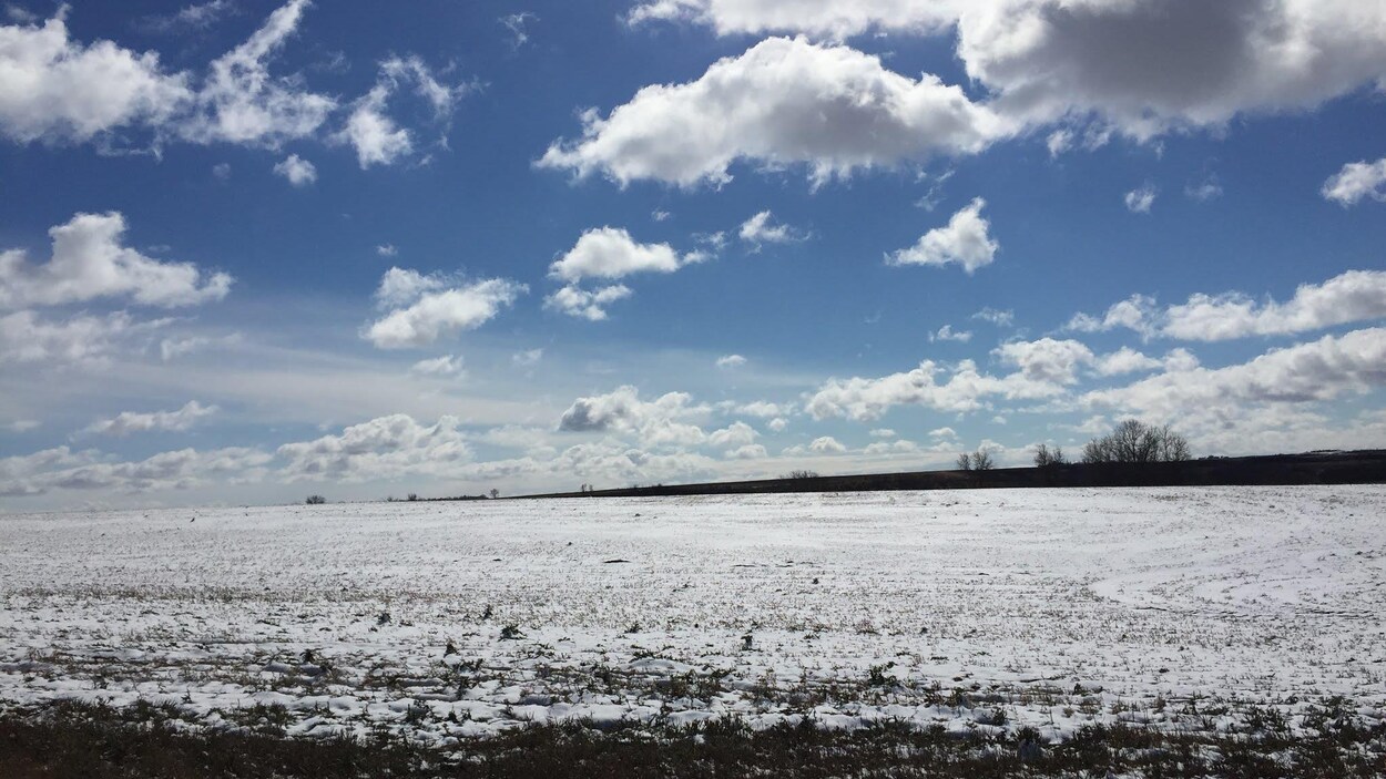 Un champ couvert de neige à perte de vue, sous un ciel bleu et quelques nuages.