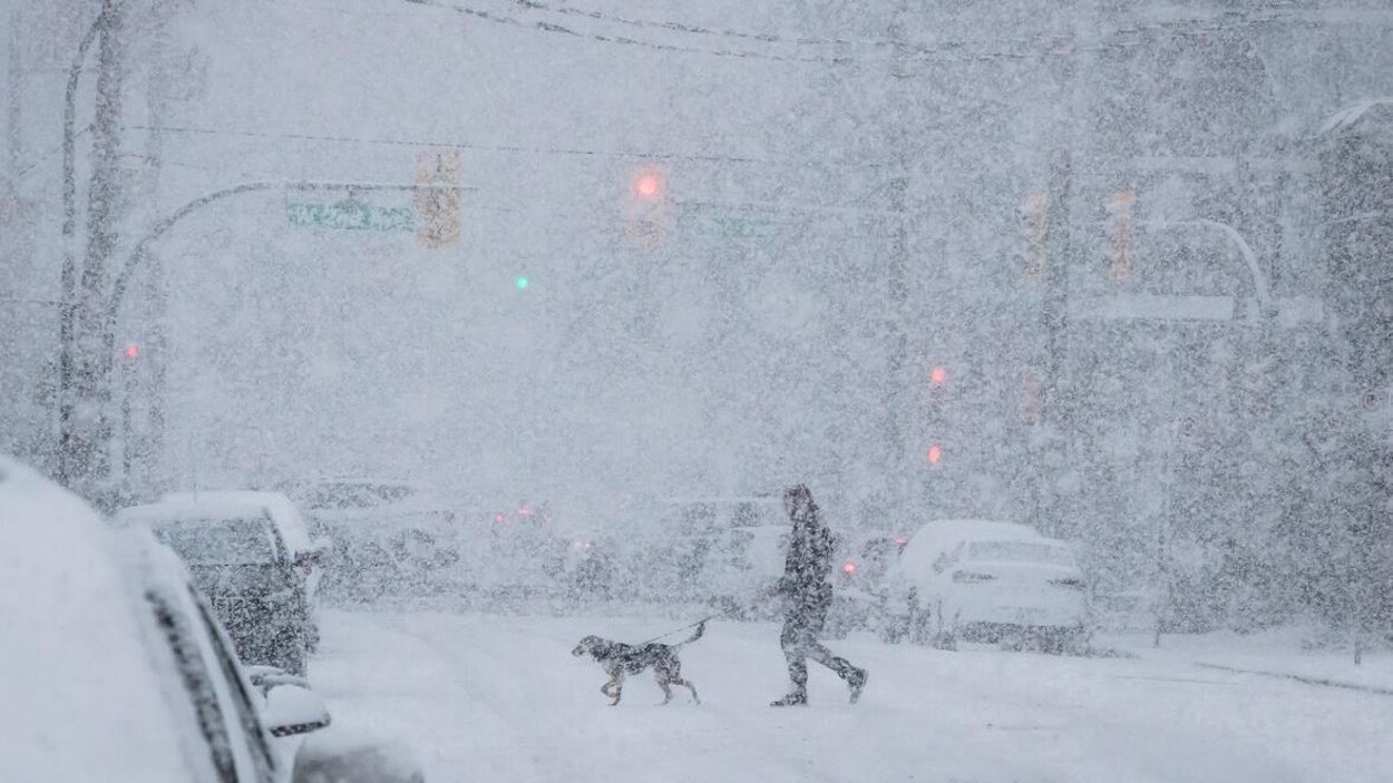 Un homme traverse une rue avec son chien dans une tempête de neige.