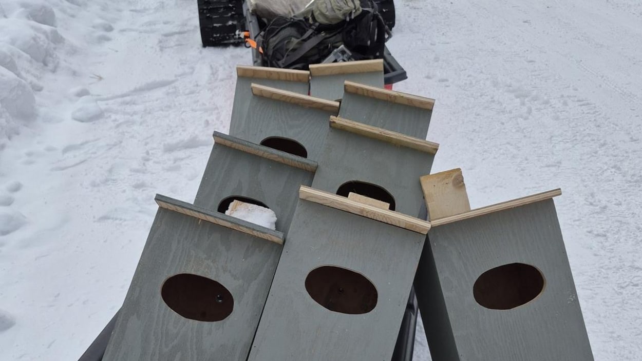 Des nichoirs pour les canards branchus à Pohénégamook