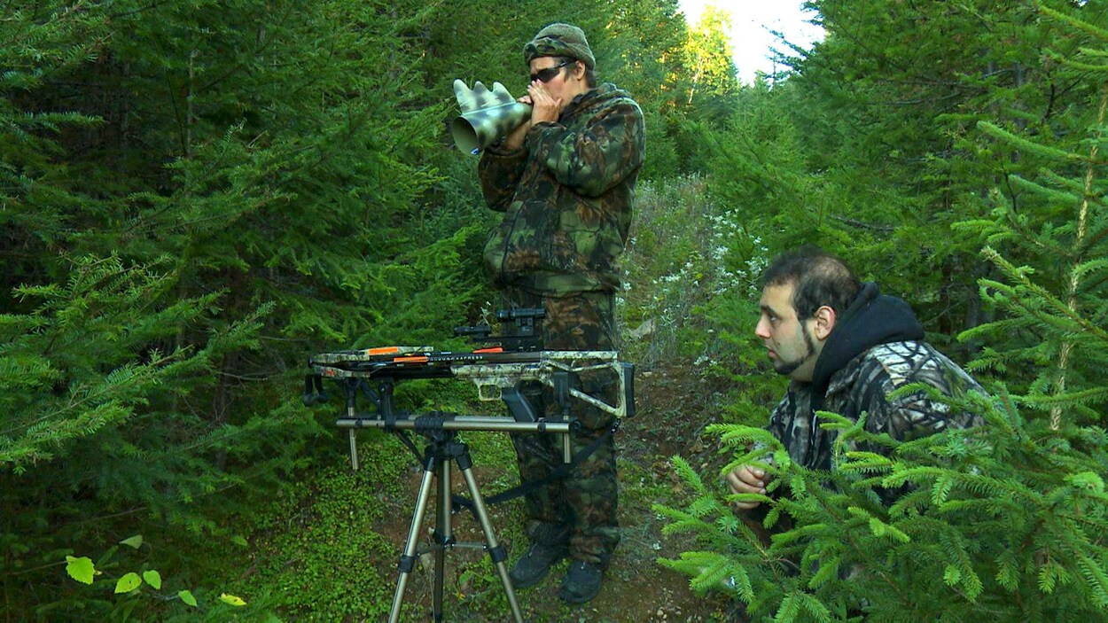 Un chasseur aveugle dans la for t gasp sienne Radio Canada