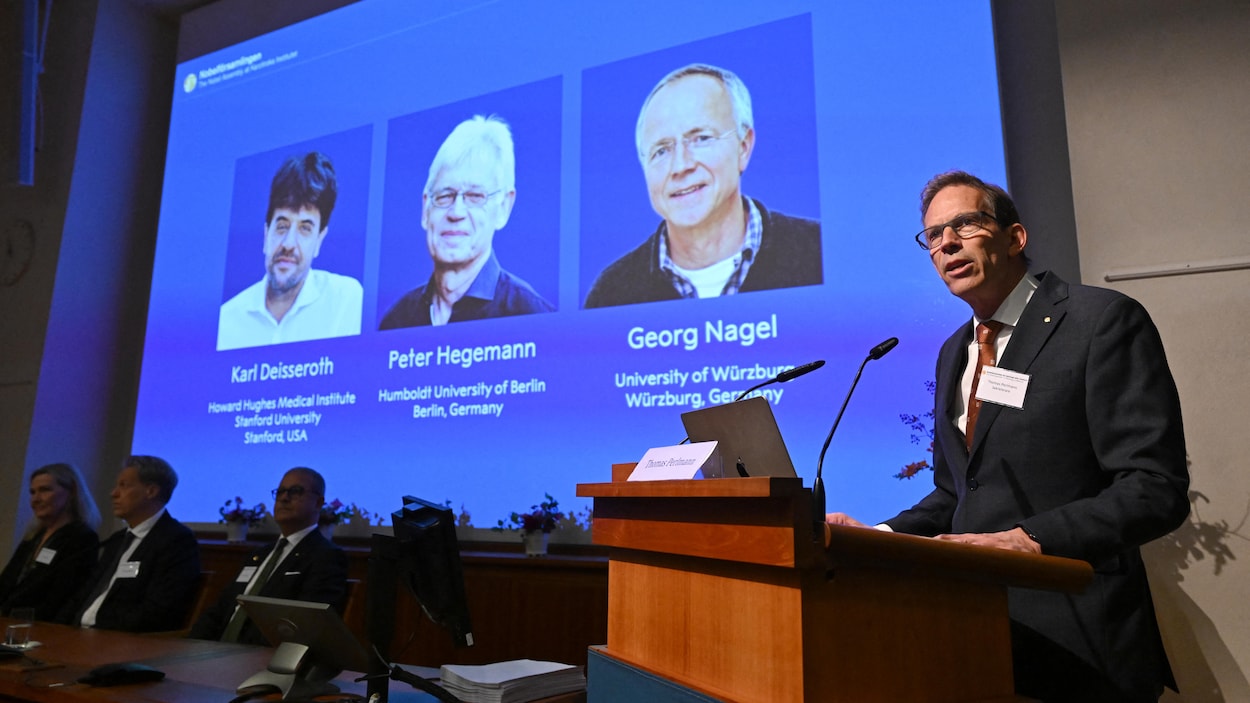 Le Nobel de médecine récompense des travaux sur les mystères du cerveau