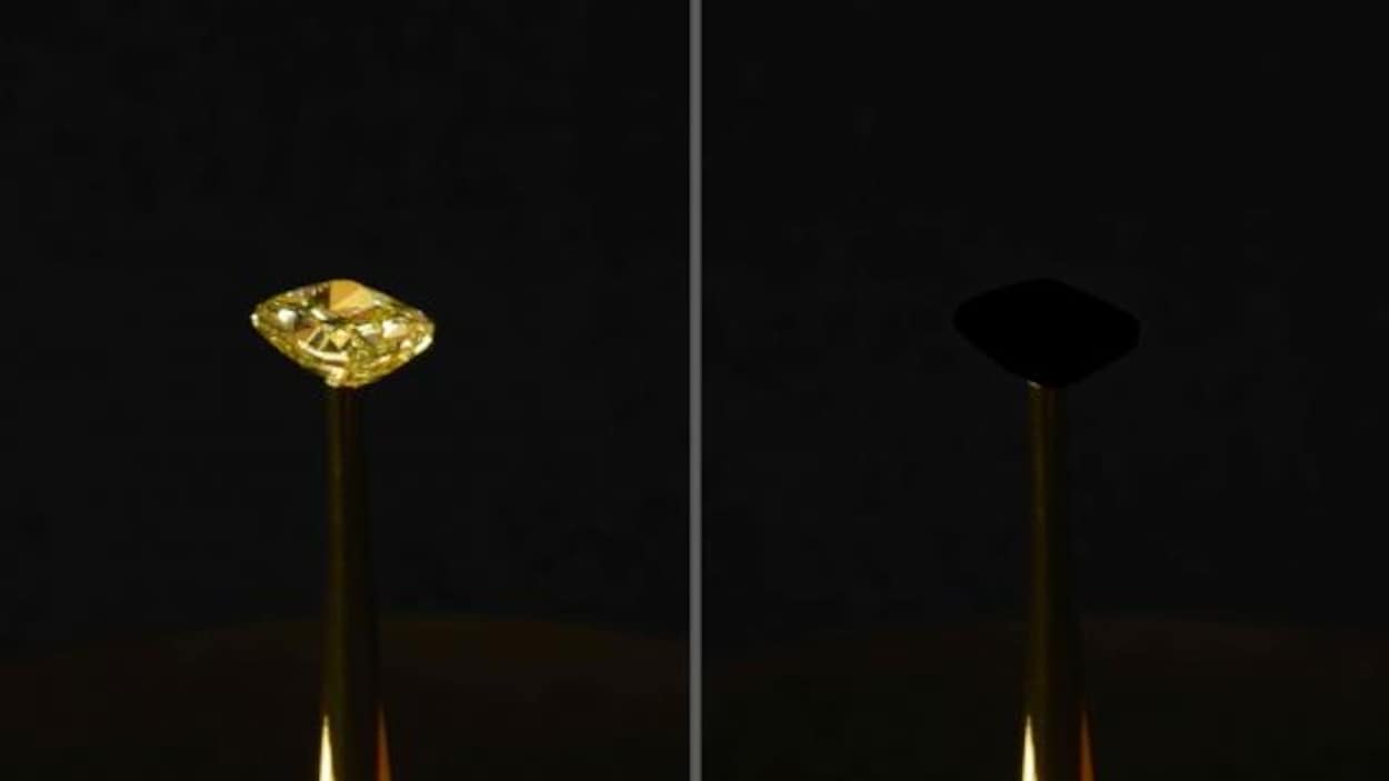 Un diamant recouvert du noir le plus noir.