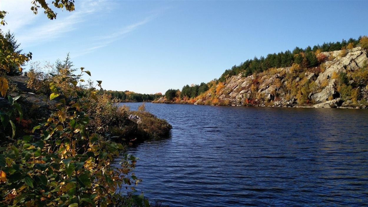 Santé publique Sudbury a lancé une alerte quant aux risques de la blastomycose