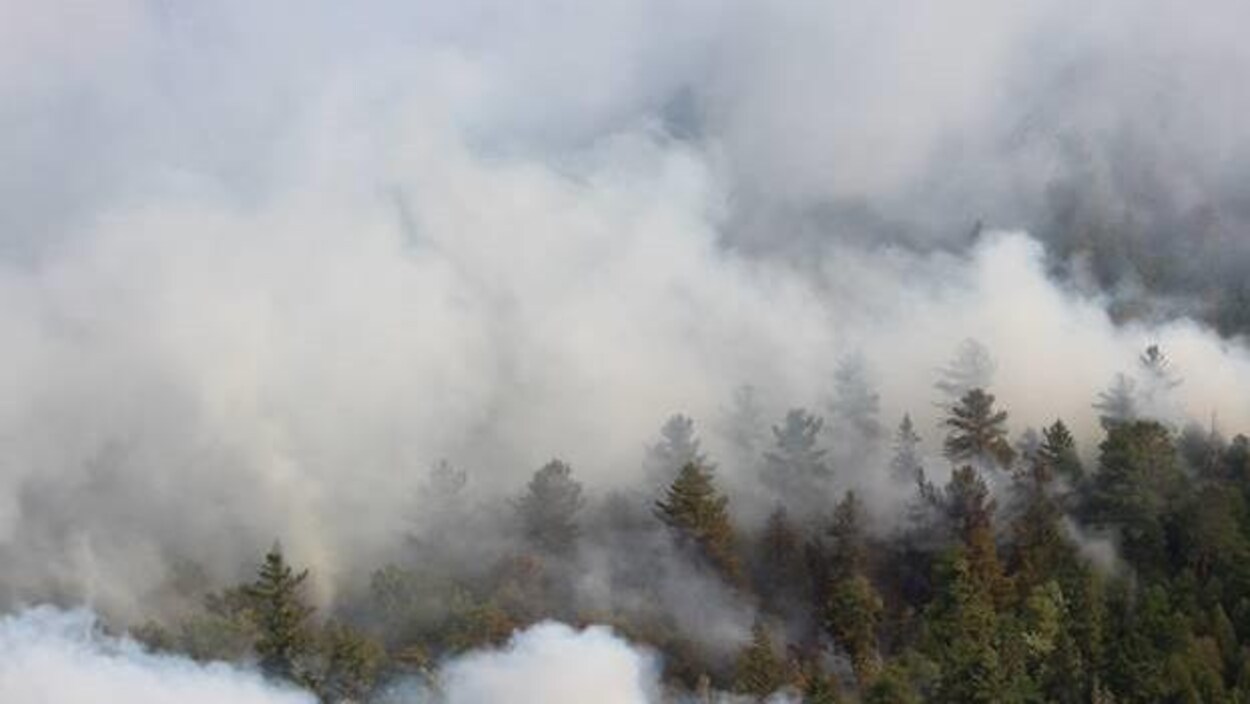 Une fumée intense émane d'une forêt Une fumée intense émane d'une forêt