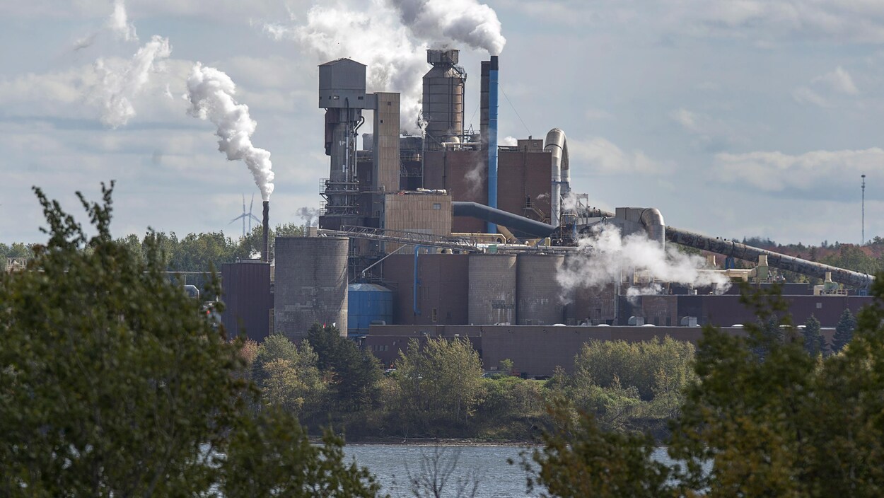 L'usine de pâtes et papiers, Northern Pulp, à Abercrombie en Nouvelle-Écosse.