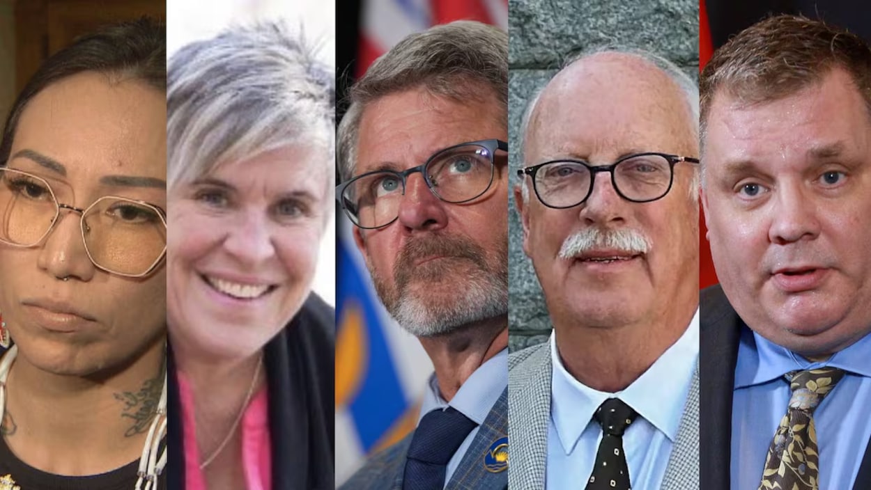 Cinq ex-députés conservateurs s’unissent pour former un nouveau parti politique en C.-B.