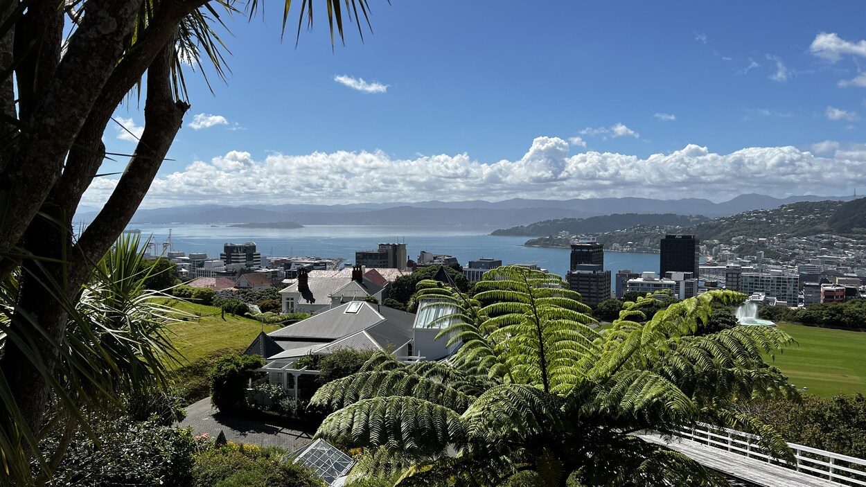 Près de 30 % des Néo-Zélandais ont reçu de l’enseignement en maori l’an dernier.