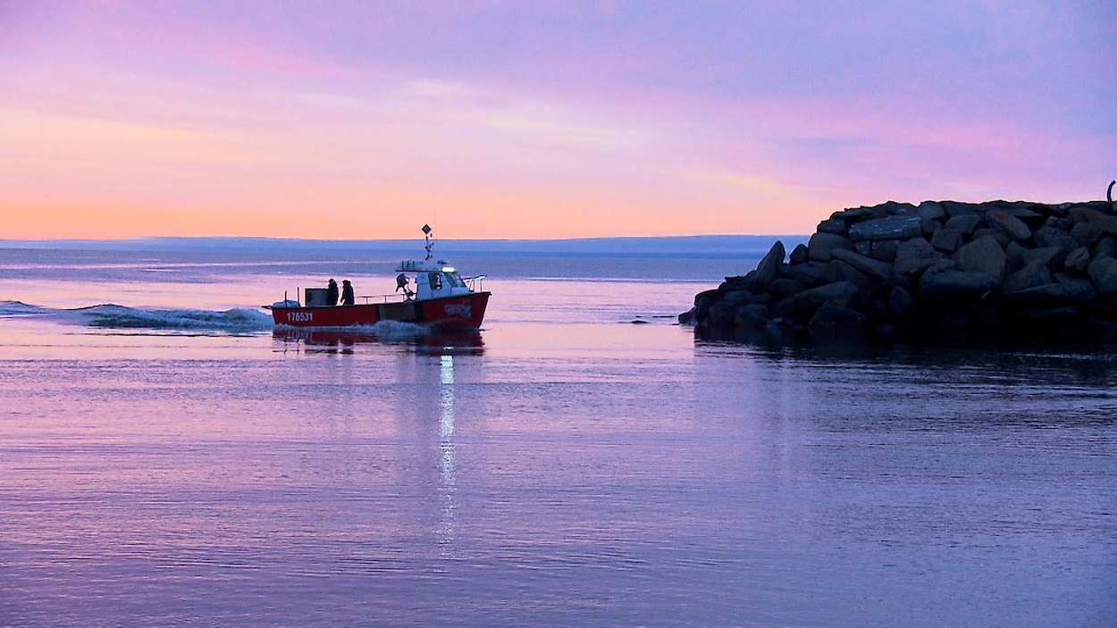 Nouvelle saison de pêche exploratoire au homard en 2026