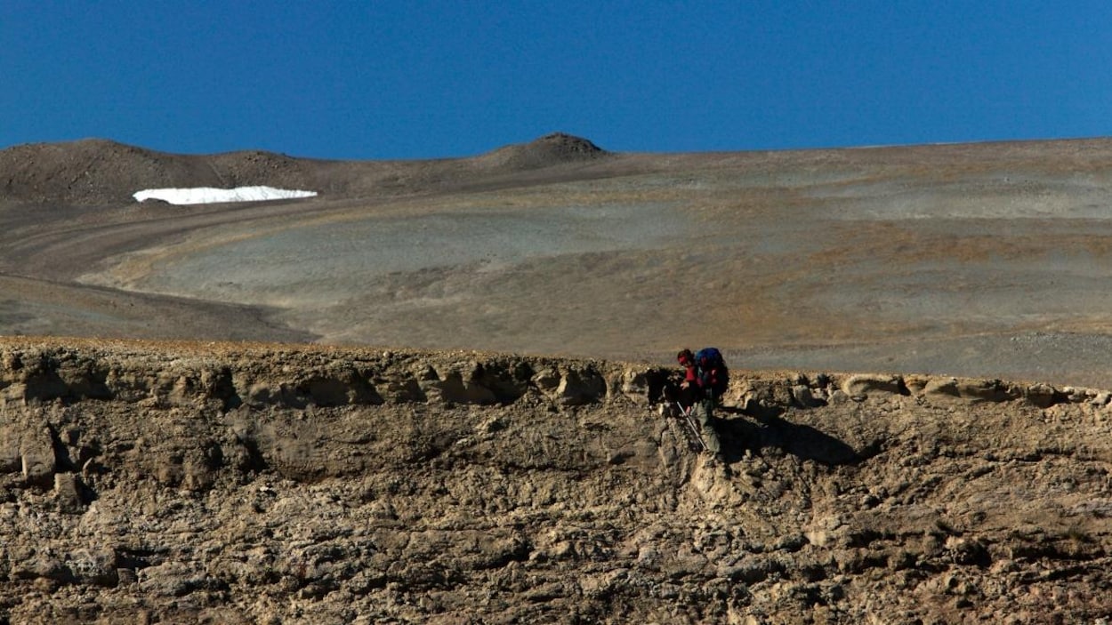 Un fossile du Nunavut révèle les plus anciennes protéines au monde