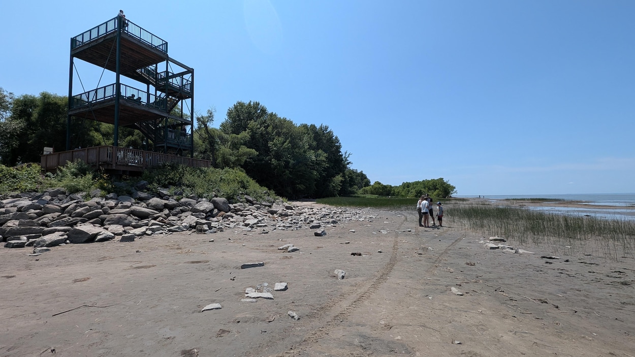 Un obus retrouvé près de la « passerelle » de Nicolet