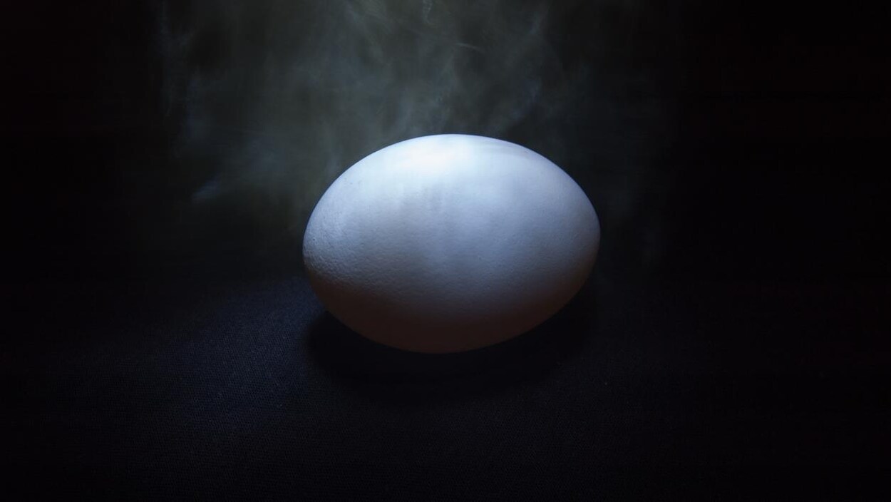 Un oeuf.