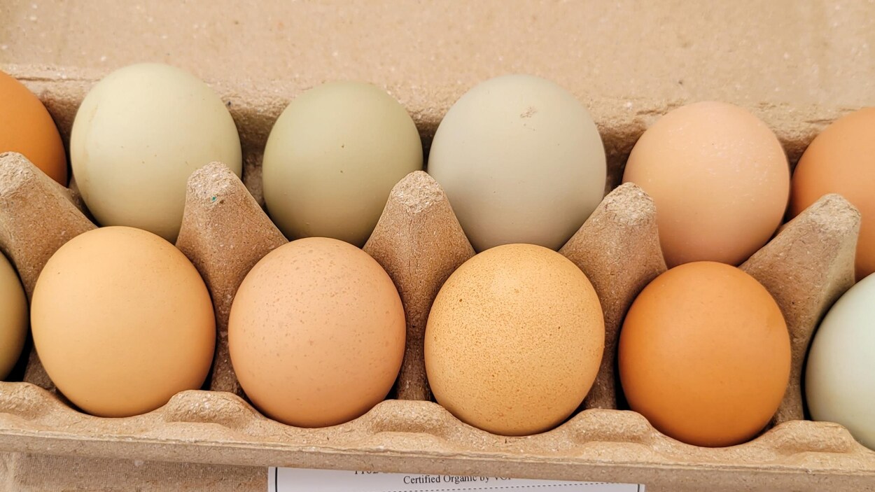 Blancs d'œufs liquides, Blancs d'œufs fermiers