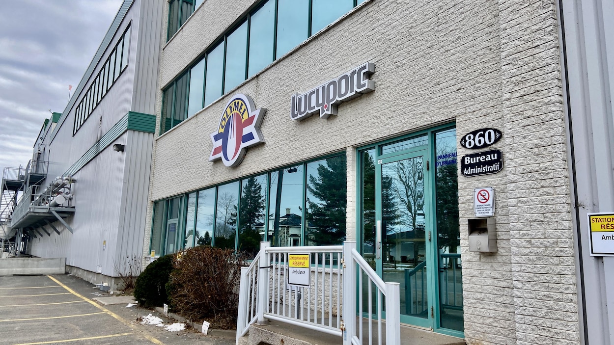 Près de 50 employés d’Olymel retrouvent leur emploi RadioCanada