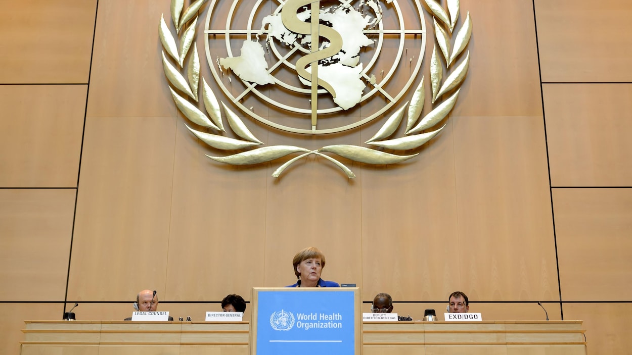 Logo de l'Organisation mondiale de la santé.