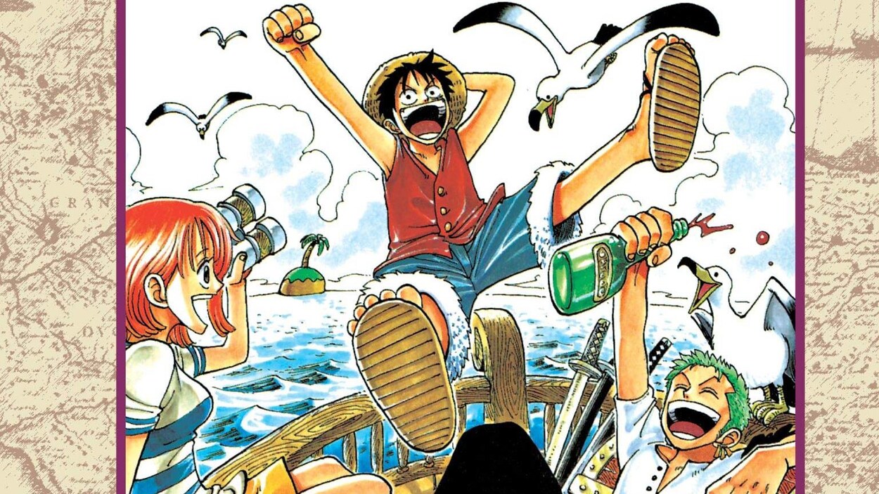 Ntroduire 96+ imagen présentoir manga one piece - fr.thptnganamst.edu.vn