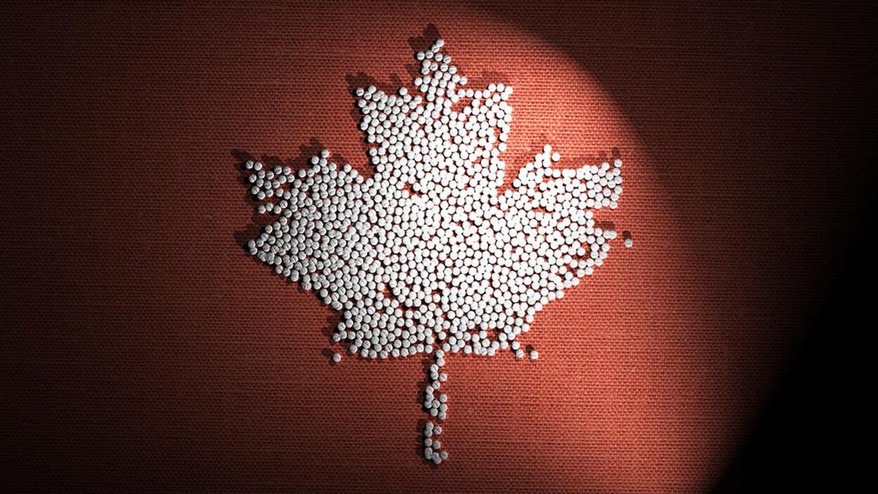 Feuille d'érable formée avec des comprimés d'opioïdes.