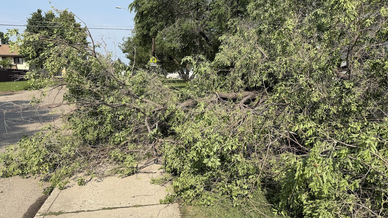 Lendemain d’orage violent à Edmonton