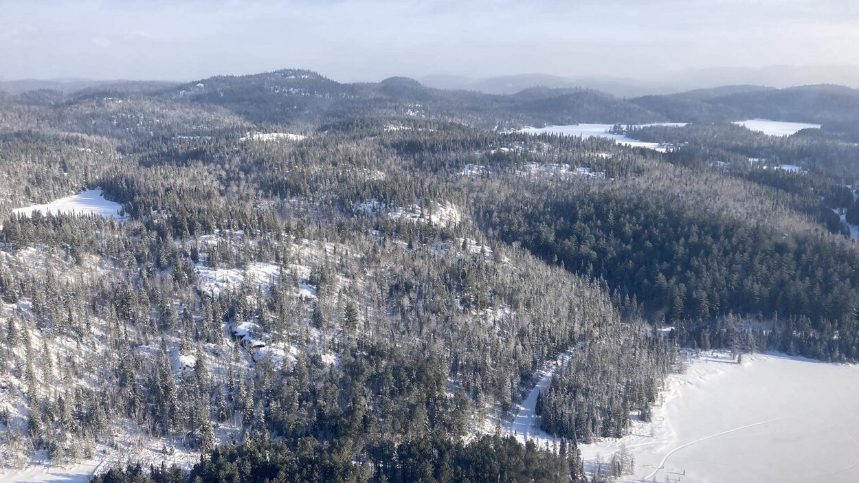 Une forêt en hiver vue depuis un hélicoptère.