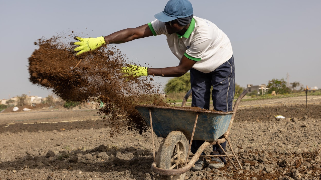 Fermeture d’Ormuz : un « choc structurel » qui menace la sécurité alimentaire mondiale