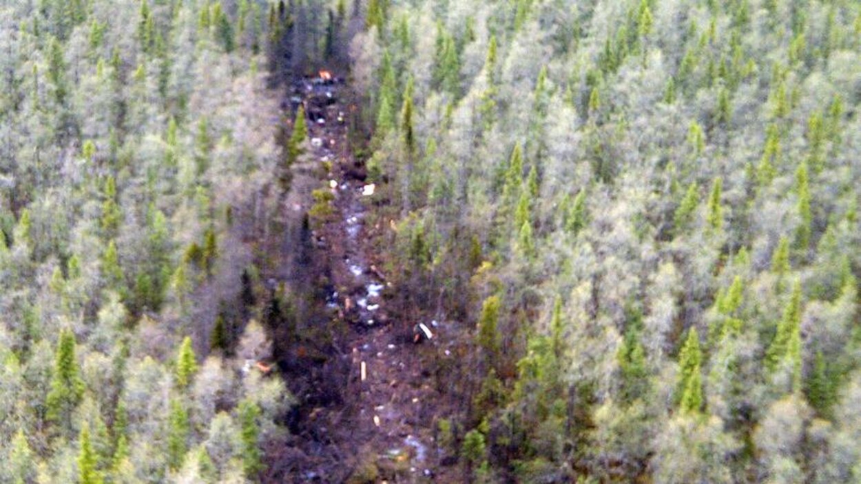 Une forêt séparée au beau milieu par des débris Une forêt séparée au beau milieu par des débris