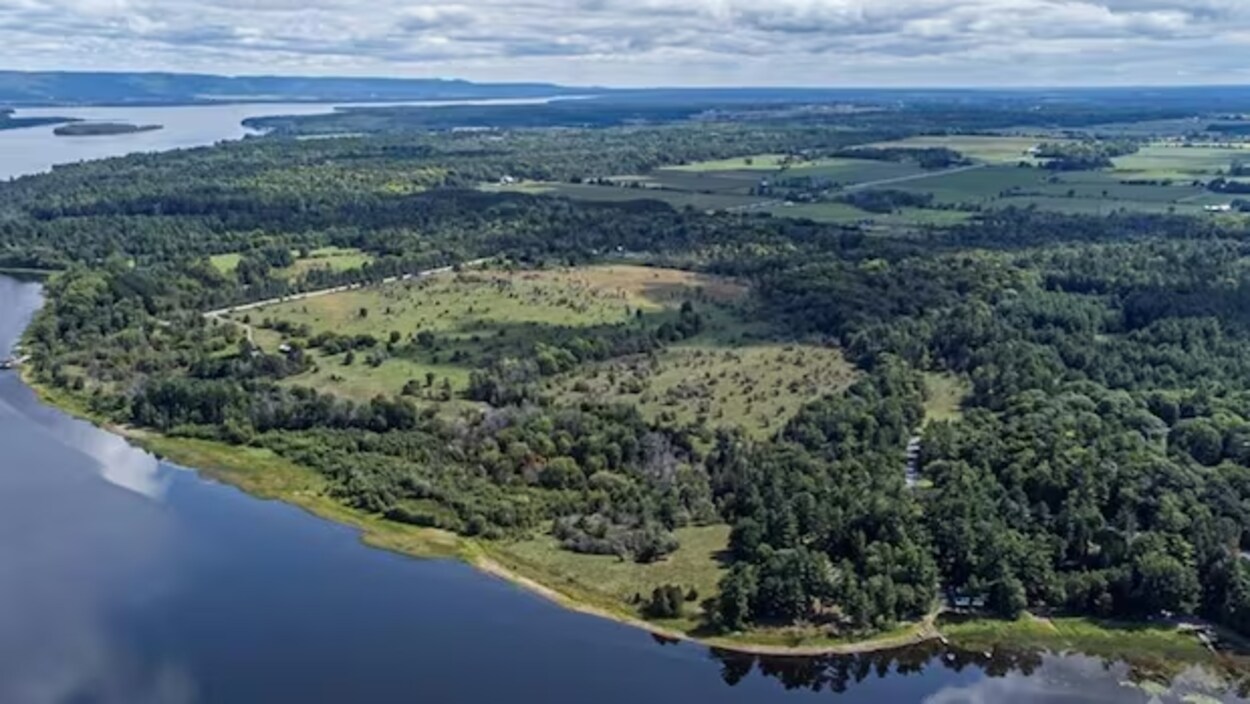 Ottawa envisage de dépenser 1,95 M$ pour préserver un terrain de 90 hectares