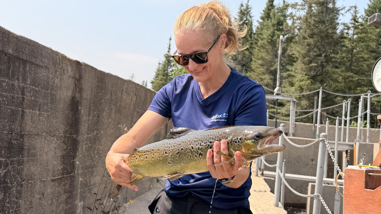 Quand la science sauve la ouananiche du lac Saint-Jean