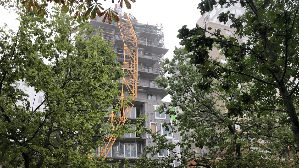 Une grue effondrée sur la paroi d'un édifice.
