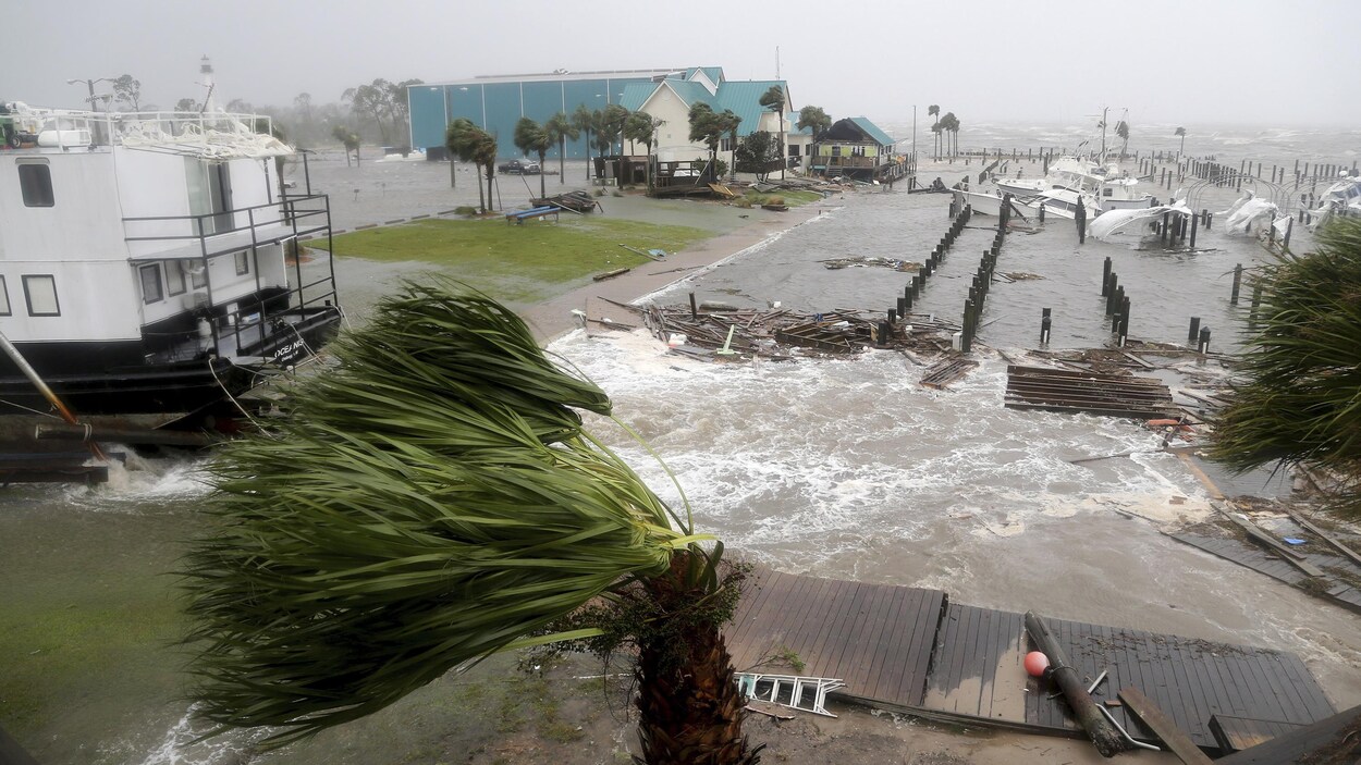 Des bateaux sont submergés dans la marina de Port Saint Joe, en Floride, et les vents agitent le feuillage des arbres.