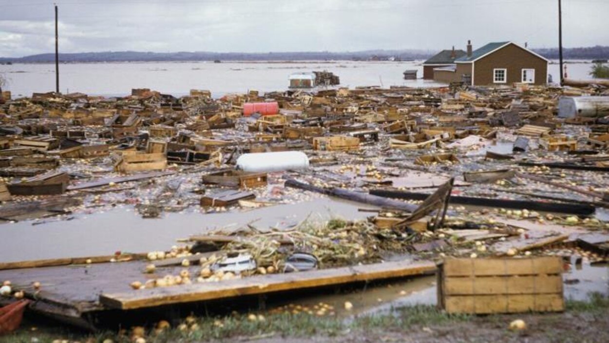 De très nombreux débris sont éparpillés partout après un ouragan. On voit même de gros réservoirs de mazout. De très nombreux débris sont éparpillés partout après un ouragan. On voit même de gros réservoirs de mazout.