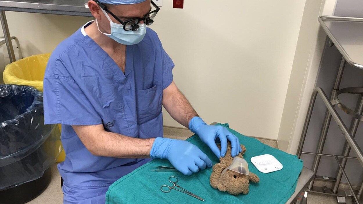 Une première pour le neurochirurgien Daniel McNeely : il a opéré un ourson cette semaine pour apaiser un de ses petits patients.