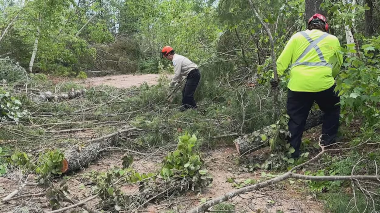 Le parc Samuel-de-Champlain va rouvrir après une tempête dévastatrice