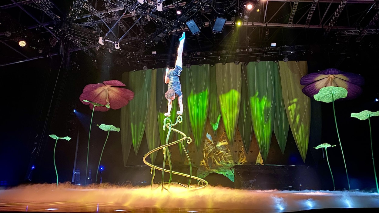 Avec OVO, dans l’univers des insectes, le Cirque du Soleil est de retour à Toronto