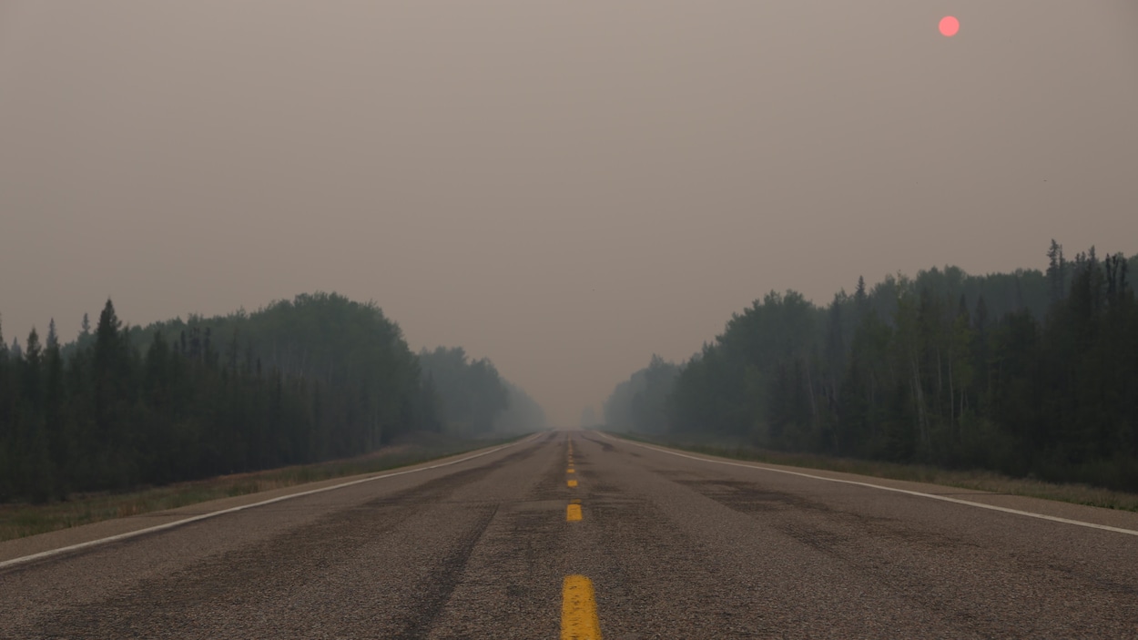 Une route entourée d'une forêt cachée par une épaisse fumée.