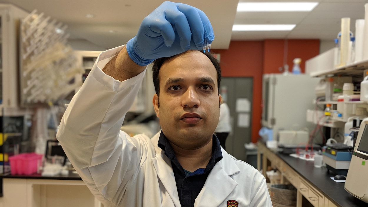 Un chercheur regarde des échantillons de sang dans un laboratoire. Un chercheur regarde des échantillons de sang dans un laboratoire.