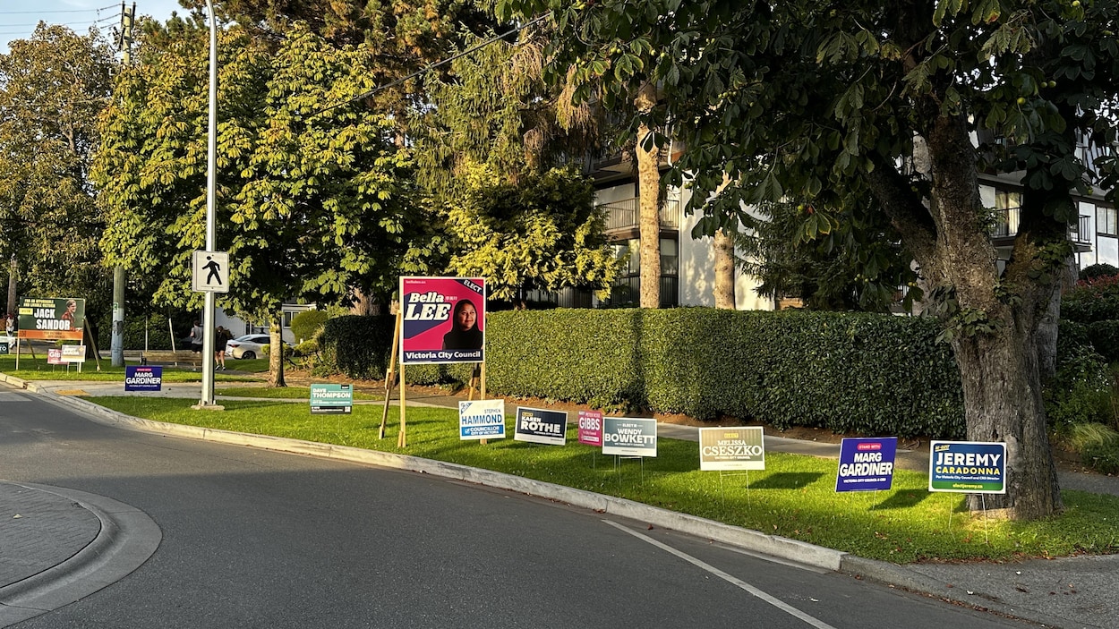 Municipales dans le Grand Victoria, comment faire ses choix?