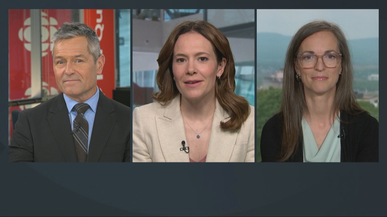 Panel politique : des candidatures et des départs annoncés