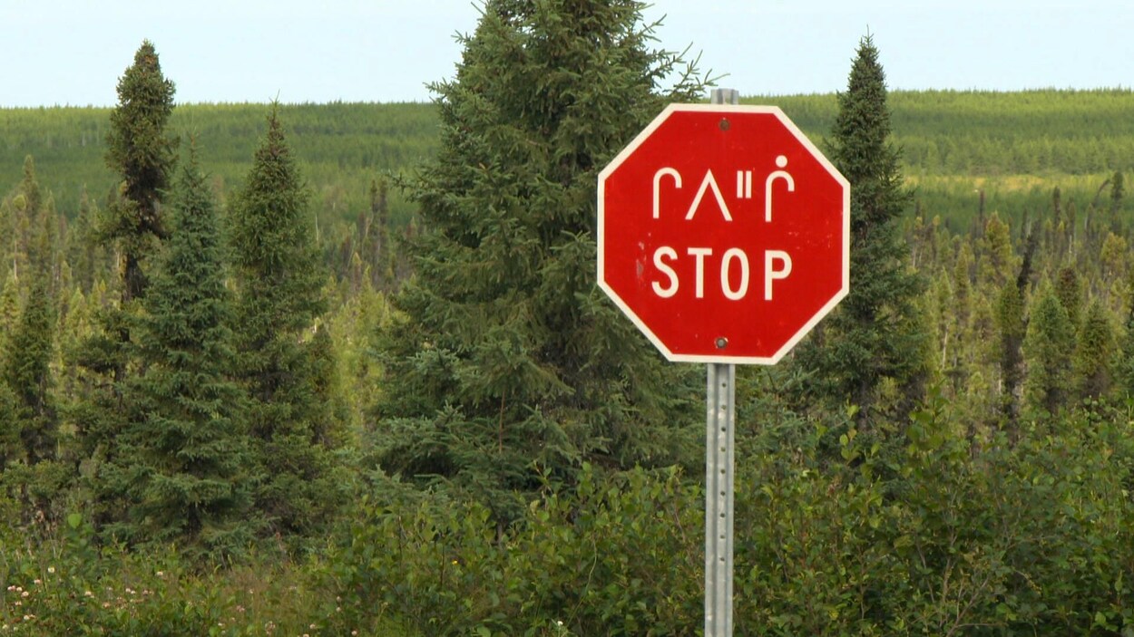 Panneau d'arrêt bilingue en anglais et en langue crie.
