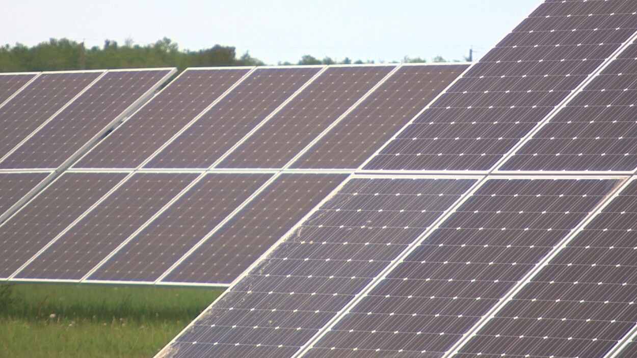 Des panneaux solaires.