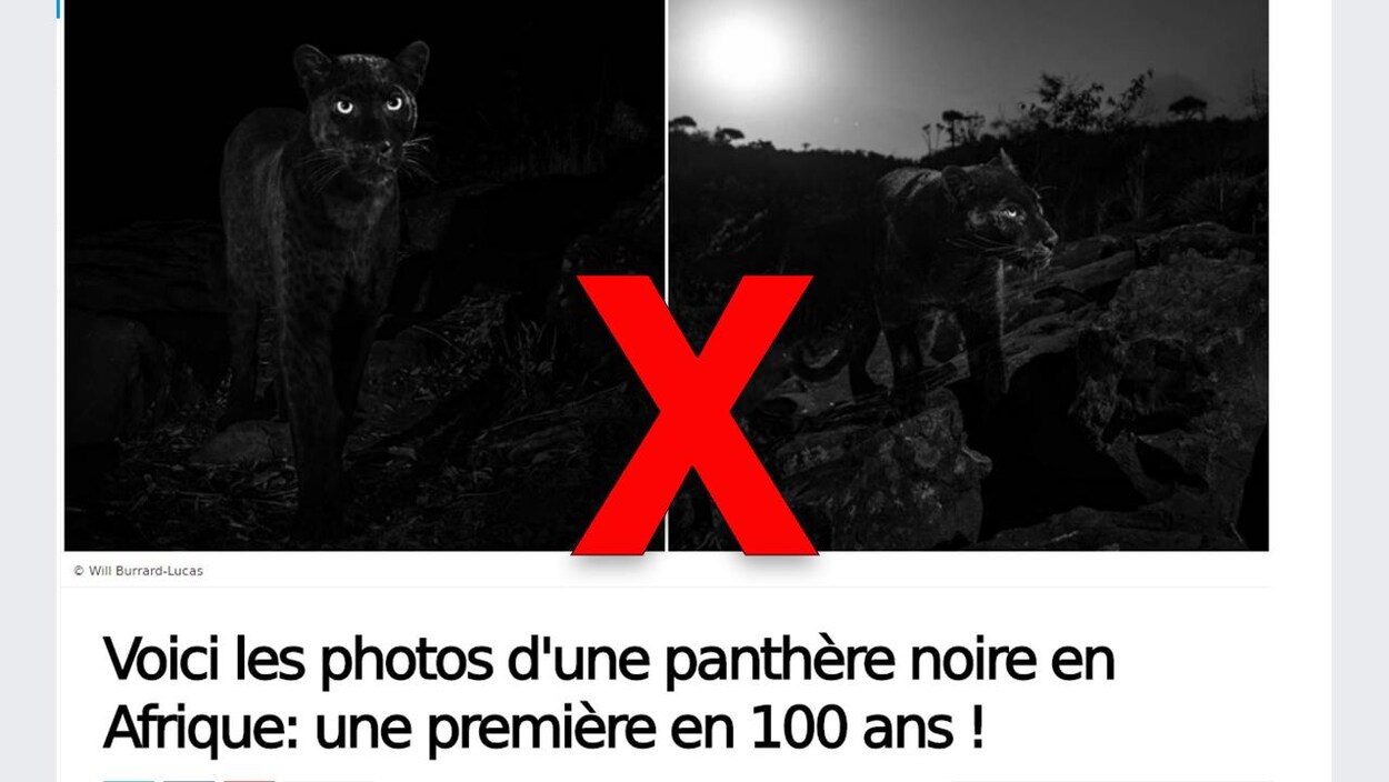 Blanc noir datant Afrique du Sud
