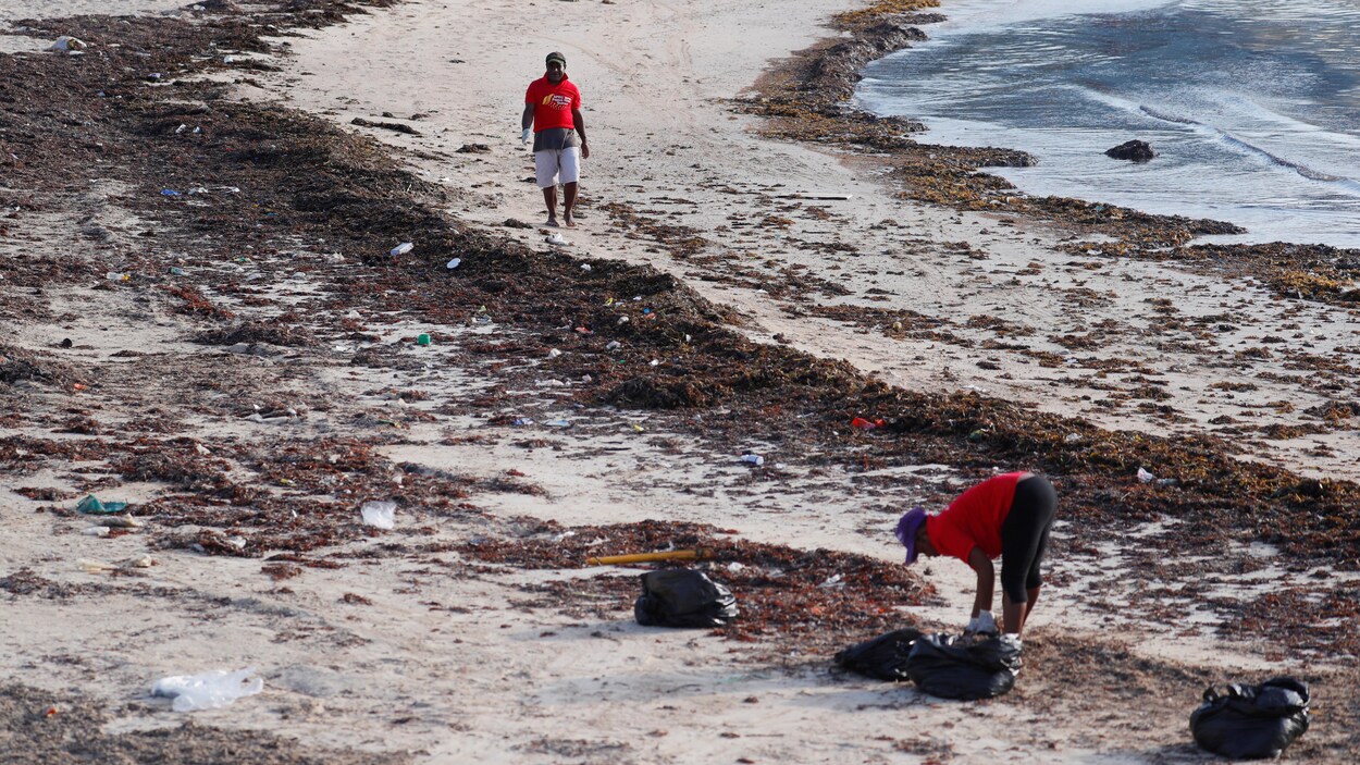 Une femme nettoie une plage à Port Moresby, capitale de la Papouasie-Nouvelle-Guinée.