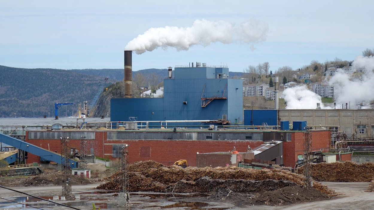 T.-N.-L. renouvelle l’entente épaulant la dernière papetière de l’île