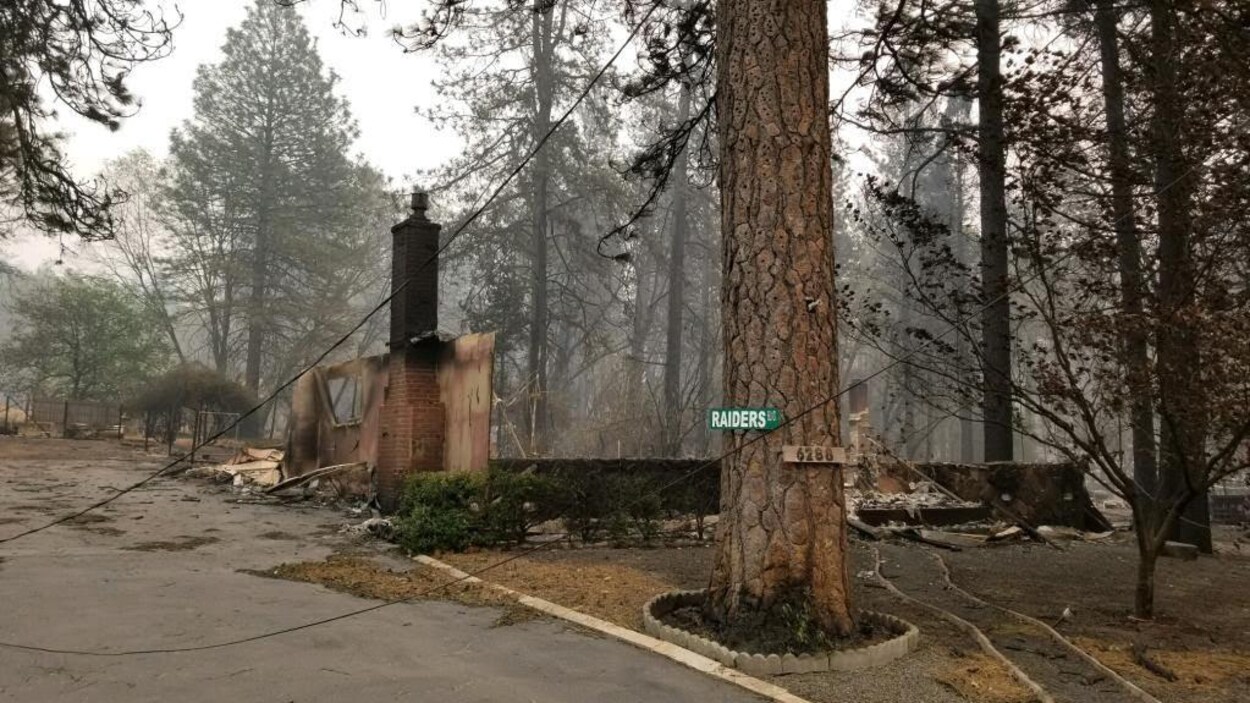 Une maison brûlée entourée d'arbres.