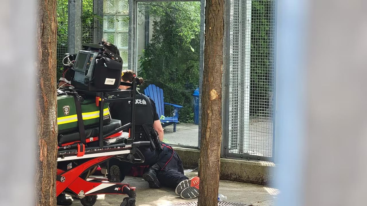 Crise des opioïdes : les surdoses ont triplé à London