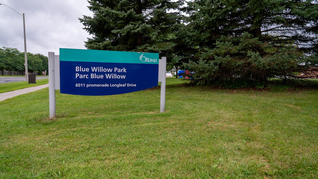Une centaine de comprimés retrouvés dans deux parcs d’Ottawa