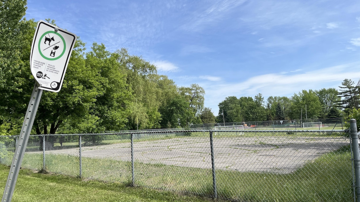 Un parc canin en zone inondable à Gatineau ?