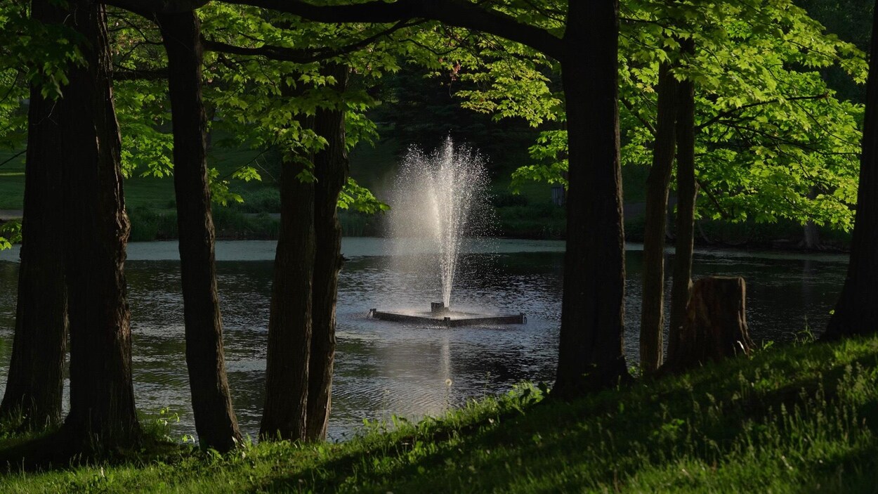 Une fontaine dans un étang entouré d'arbres.