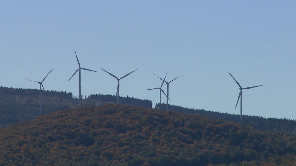 Éoliennes dans le parc du Lac Alfred