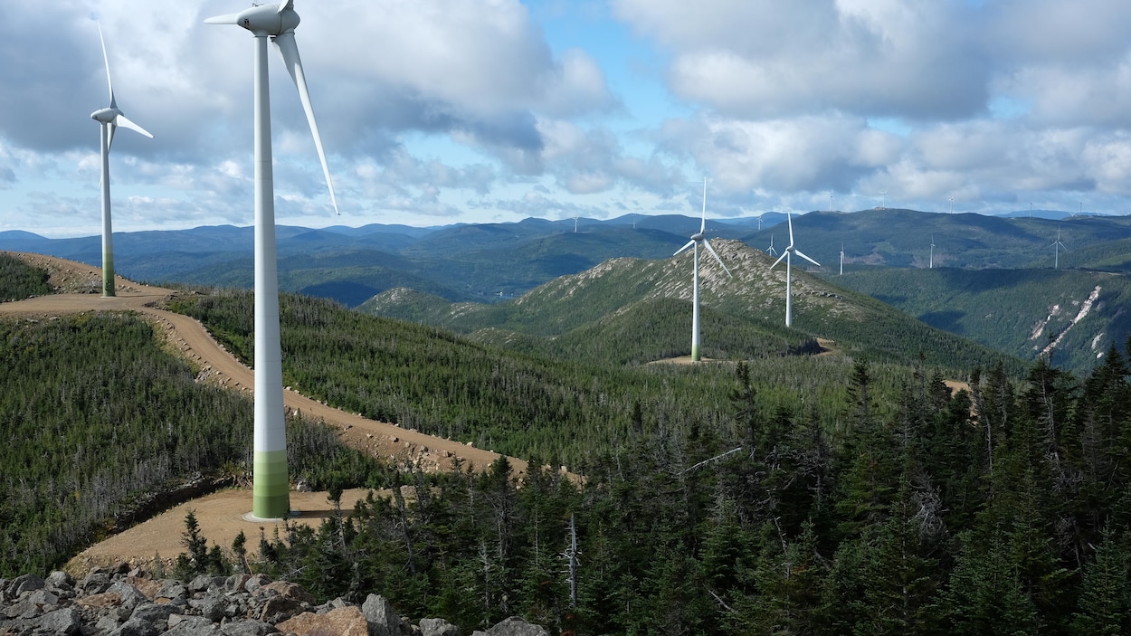 Les projets éoliens « incompatibles » avec la mission de conservation des zecs