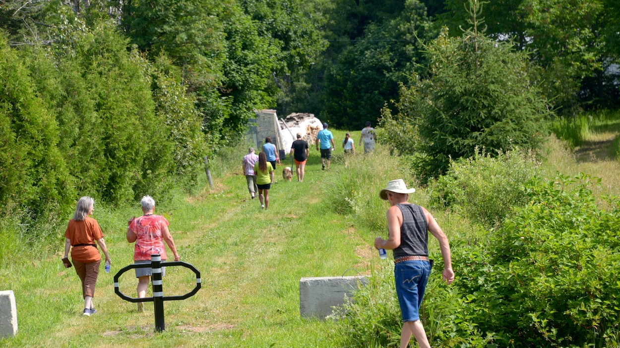 Un nouveau parc forestier dans le cœur urbain de Saint-Antonin