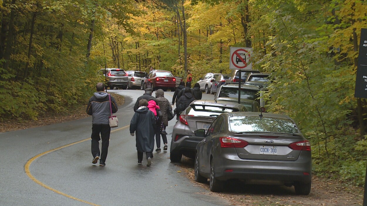 Des personnes marchent le long d'une file de voitures stationnées en bordure d'une route en forêt.